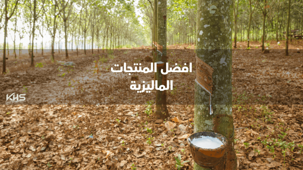 استيراد منتجات من ماليزيا للسوق السعودي استيراد منتجات من ماليزيا للسوق السعودي