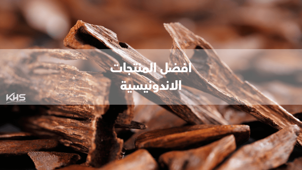 استيراد منتجات من إندونيسيا للسوق السعودي استيراد منتجات من إندونيسيا للسوق السعودي