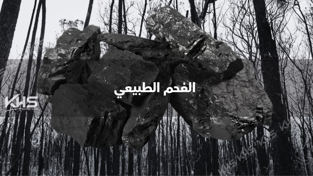 أنواع الفحم الطبيعي