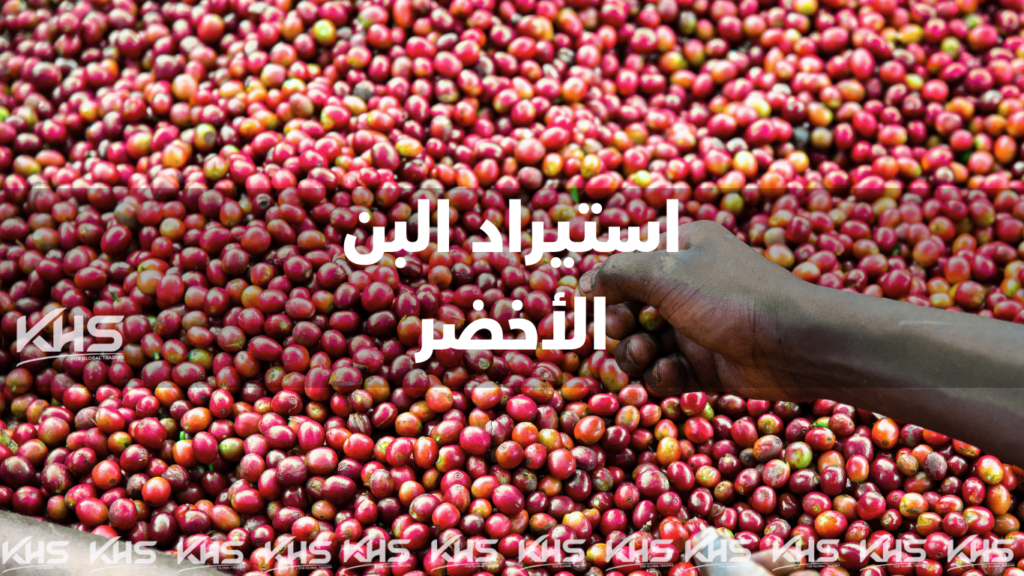 استيراد البن الأخضر (1) استيراد البن الأخضر بن أخضر جملة