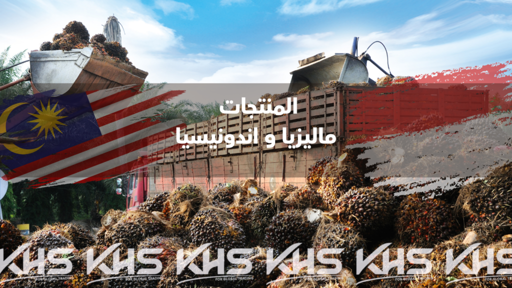 المنتجات الإندونيسية والماليزية الاستيراد من ماليزيا الاستيراد من اندونيسيا (2026)