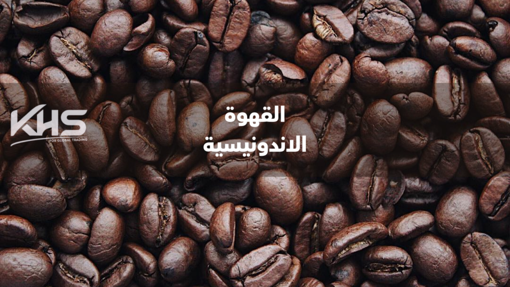 المنتجات الإندونيسية والماليزية الاستيراد من ماليزيا الاستيراد من اندونيسيا (3) المنتجات الإندونيسية والماليزية الاستيراد من ماليزيا الاستيراد من اندونيسيا (2026)