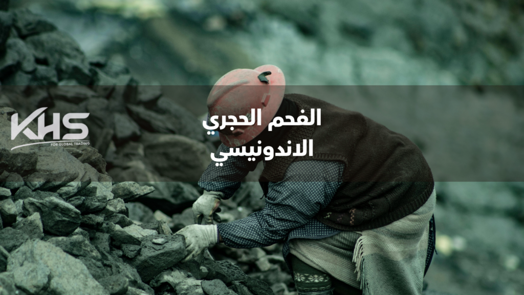 المنتجات الإندونيسية والماليزية الاستيراد من ماليزيا الاستيراد من اندونيسيا (4) المنتجات الإندونيسية والماليزية الاستيراد من ماليزيا الاستيراد من اندونيسيا (2026)