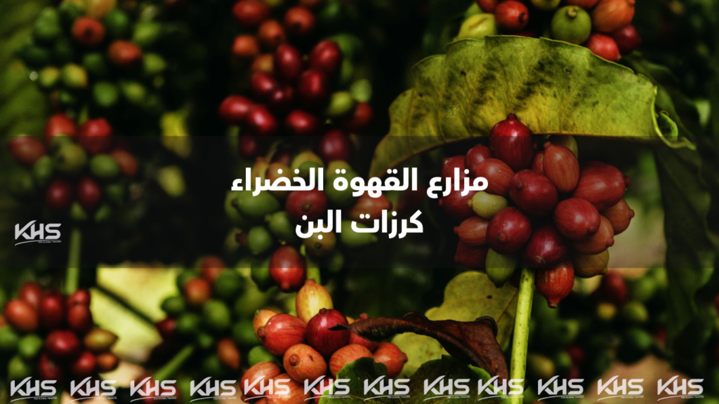 بيع القهوة بالجملة في الجزائر استيراد القهوة في الجزائر 